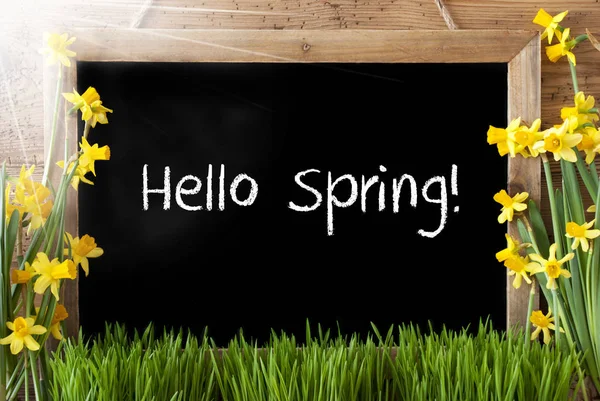 Zonnige Narcissus, schoolbord, tekst Hello Spring — Stockfoto