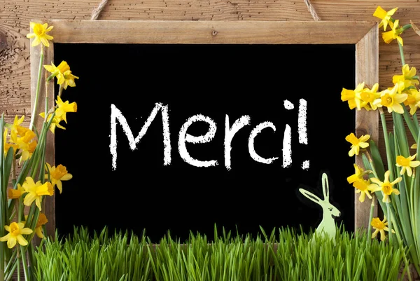 Narcissus, Easter Bunny, Merci Means Thank You — Stock Photo, Image