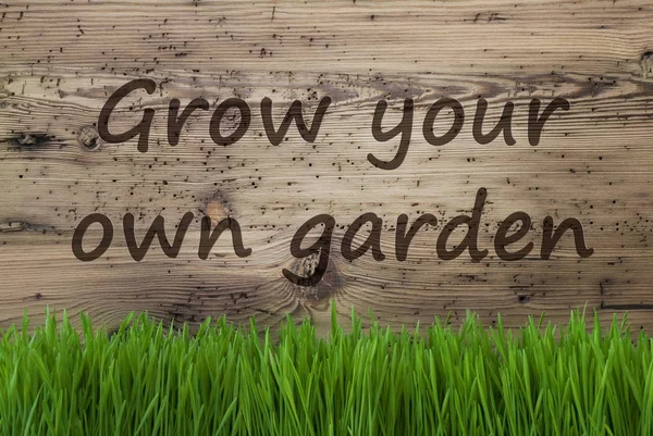 Sfondo in legno invecchiato, Gras, Coltiva il tuo giardino — Foto Stock