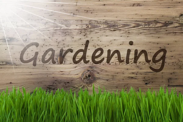 Słoneczny tło drewniane, Gras, tekst ogrodnictwo — Zdjęcie stockowe