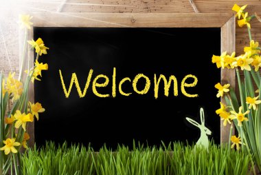 Güneşli Narcissus, Paskalya tavşanı, metin hoş geldiniz