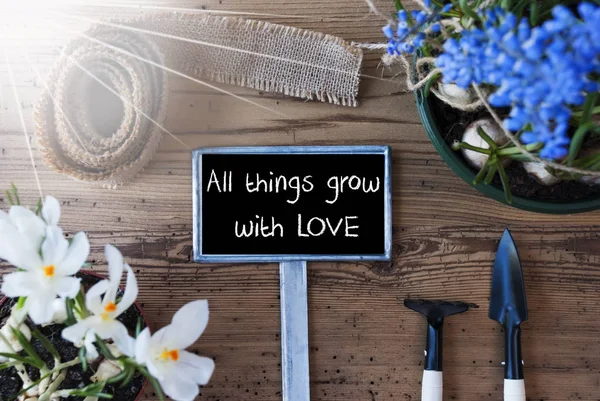 Zonnige Lentebloemen, teken, offerte alle dingen groeien met liefde — Stockfoto