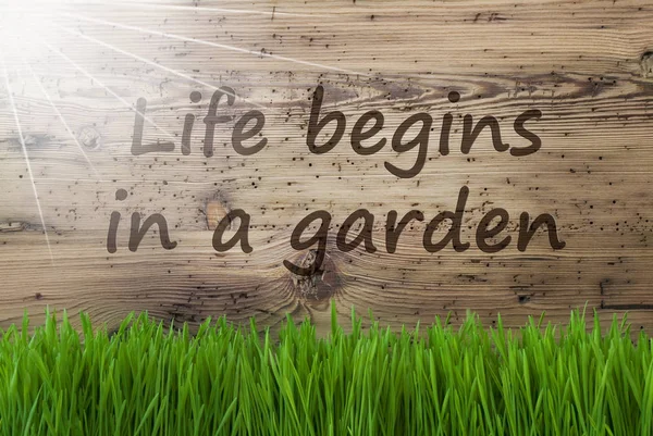 Fundo de madeira ensolarado, Gras, vida da citação começa em um jardim — Fotografia de Stock