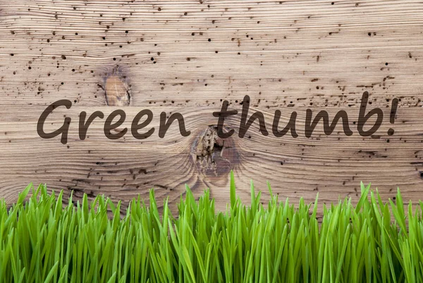 Fundo de madeira brilhante, Gras, texto Polegar verde — Fotografia de Stock