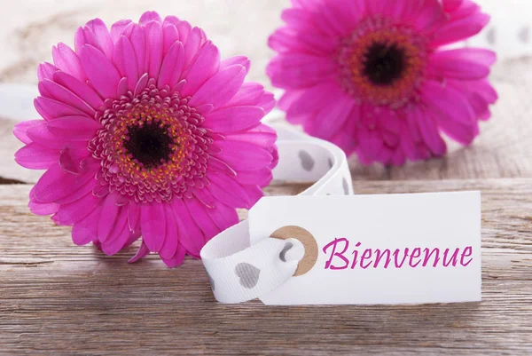 Pink Spring Gerbera, Label, French Bienvenue Means Welcome — стоковое фото