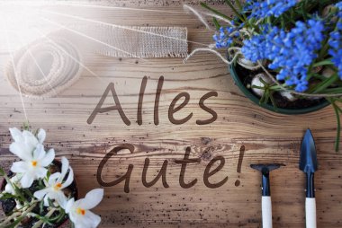 Güneşli bahar çiçekleri, Alles Gute anlamına gelir en iyi dilek