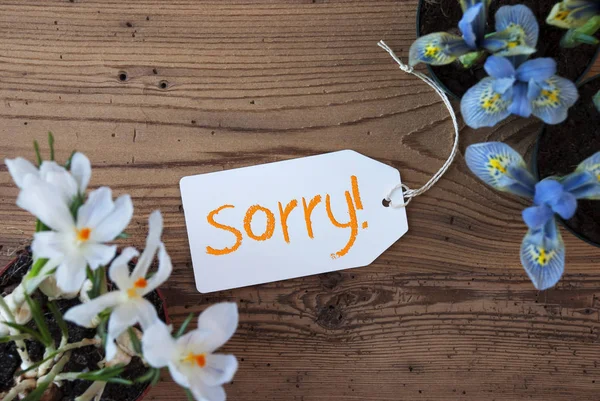Λουλούδια, ετικέτα, κείμενο συγγνώμη — Φωτογραφία Αρχείου