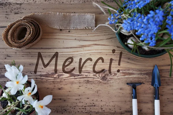 Spring Flowers, Merci Means Thank You — Stock Photo, Image