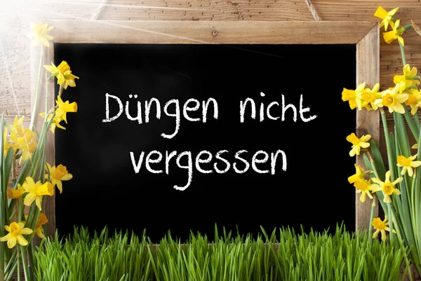 Sunny Narcissus, Chalkboard, Duengen Nicht Vergessen Means Not Forget Dung — Stok fotoğraf