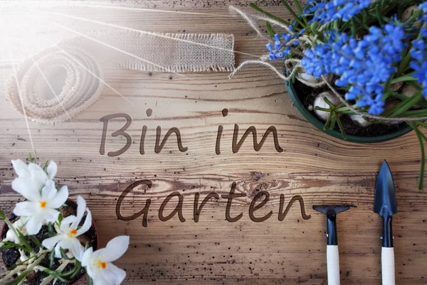 Sunny Spring Flowers, Bin Im Garten significa no jardim — Fotografia de Stock
