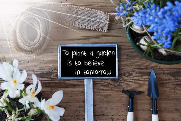 Soliga våren blommor, Sign, citat växt trädgård tror på i morgon — Stockfoto