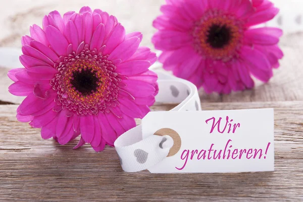 Gerbera rose printanière, Étiquette, Wir Gratulieren Félicitations — Photo