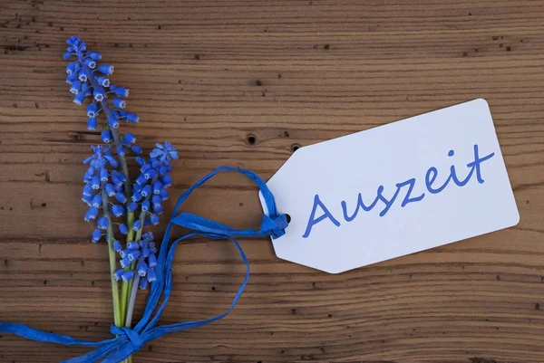 Srping Uva Hyacinth, etiqueta, Auszeit significa tempo de inatividade — Fotografia de Stock