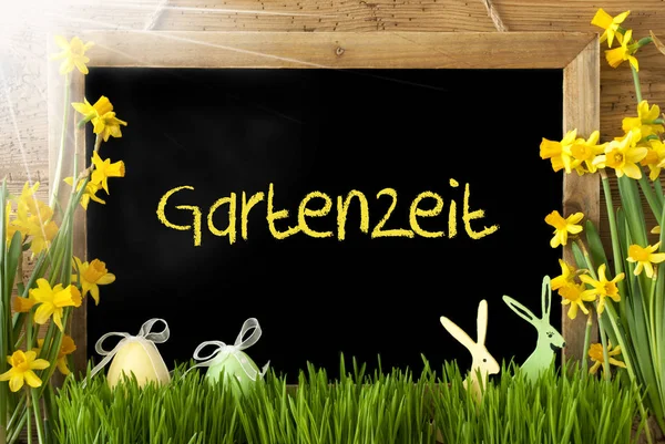 Zonnige Narcissus, paasei, Bunny, Gartenzeit betekent Tuin tijd — Stockfoto