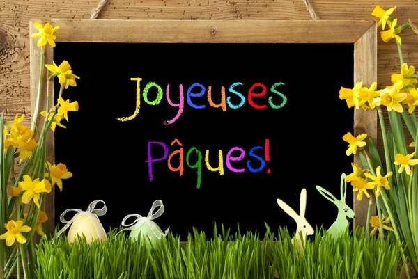 Νάρκισσος, αυγό, λαγουδάκι, πολύχρωμα Joyeuses Paques σημαίνει καλό Πάσχα — Φωτογραφία Αρχείου
