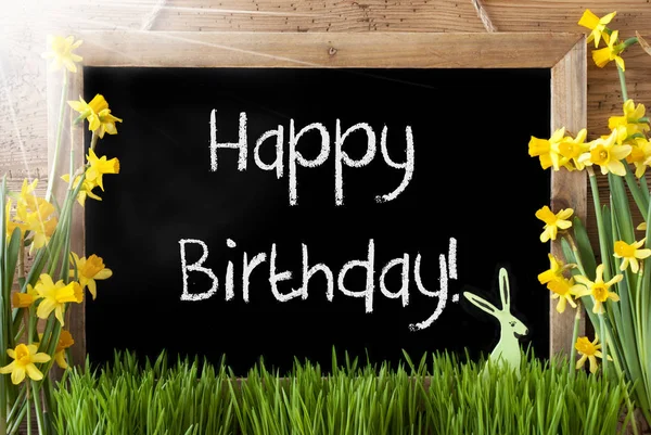 Soliga Narcissus, påskharen, texten Happy Birthday — Stockfoto