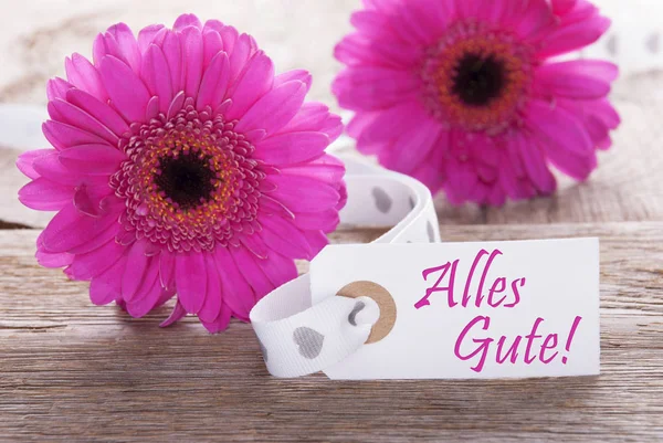 Primavera rosa Gerbera, Etiqueta, Alles Gute significa melhores desejos — Fotografia de Stock