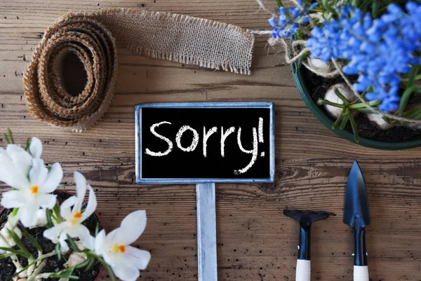 Lente bloemen, teken, tekst Sorry — Stockfoto