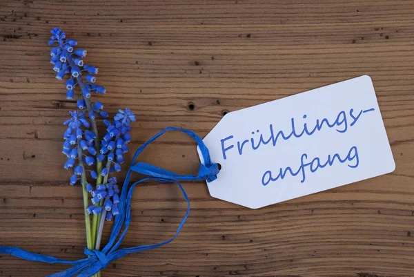 Uva Hyacinth, etiqueta, Fruehlingsanfang significa início da primavera — Fotografia de Stock