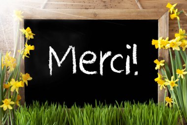 Güneşli bahar Narcissus, kara tahta, Merci demektir teşekkür ederim