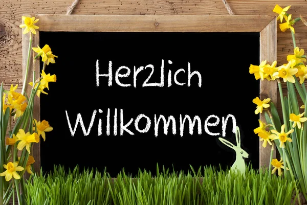 Narcissus, Easter Bunny, Herzlich Willkommen Means Welcome — Stock fotografie