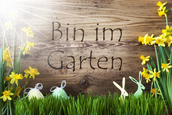 Ensolarado Páscoa Decoração, Gras, Im Garten Means In The Garden — Fotografia de Stock