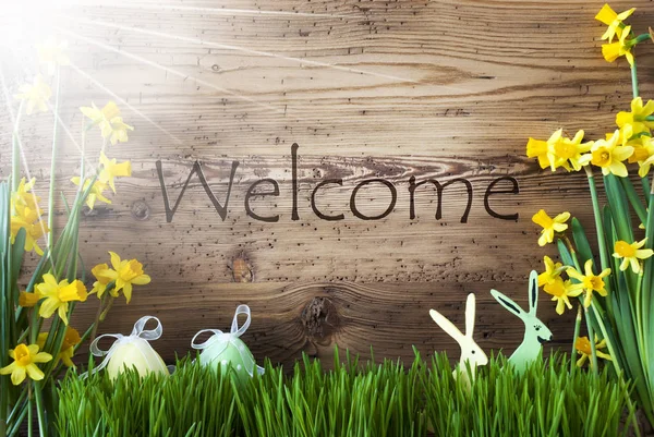 Solig påsk dekoration, Gras, Text Välkommen — Stockfoto