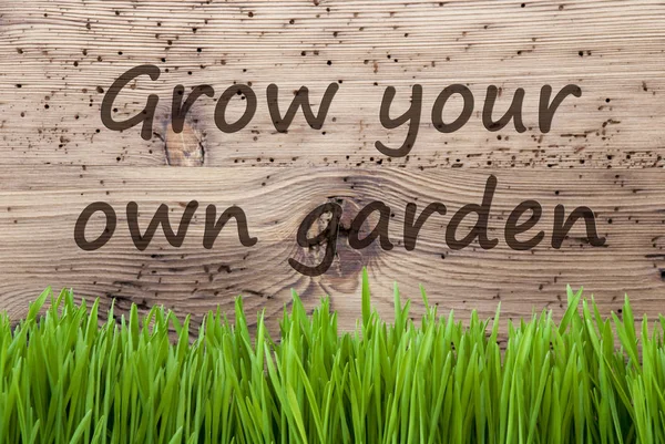 Fondo de madera brillante, Gras, hacer crecer su propio jardín —  Fotos de Stock