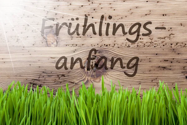 Fundo ensolarado brilhante, Gras, Meios de Fruehlingsanfang Início da primavera — Fotografia de Stock
