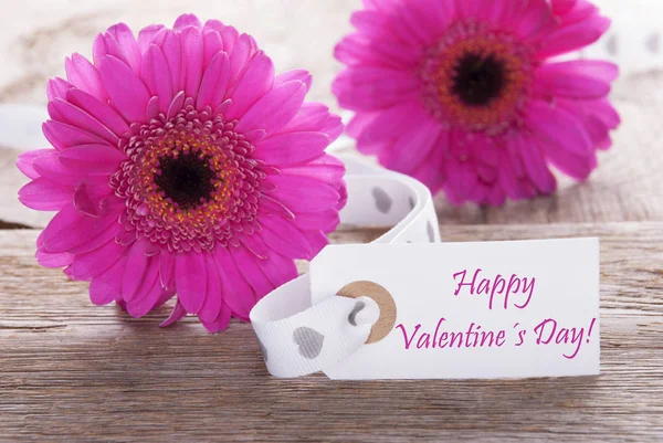 Różowy wiosna Gerbera, etykiety, tekst Happy Valentines Day — Zdjęcie stockowe