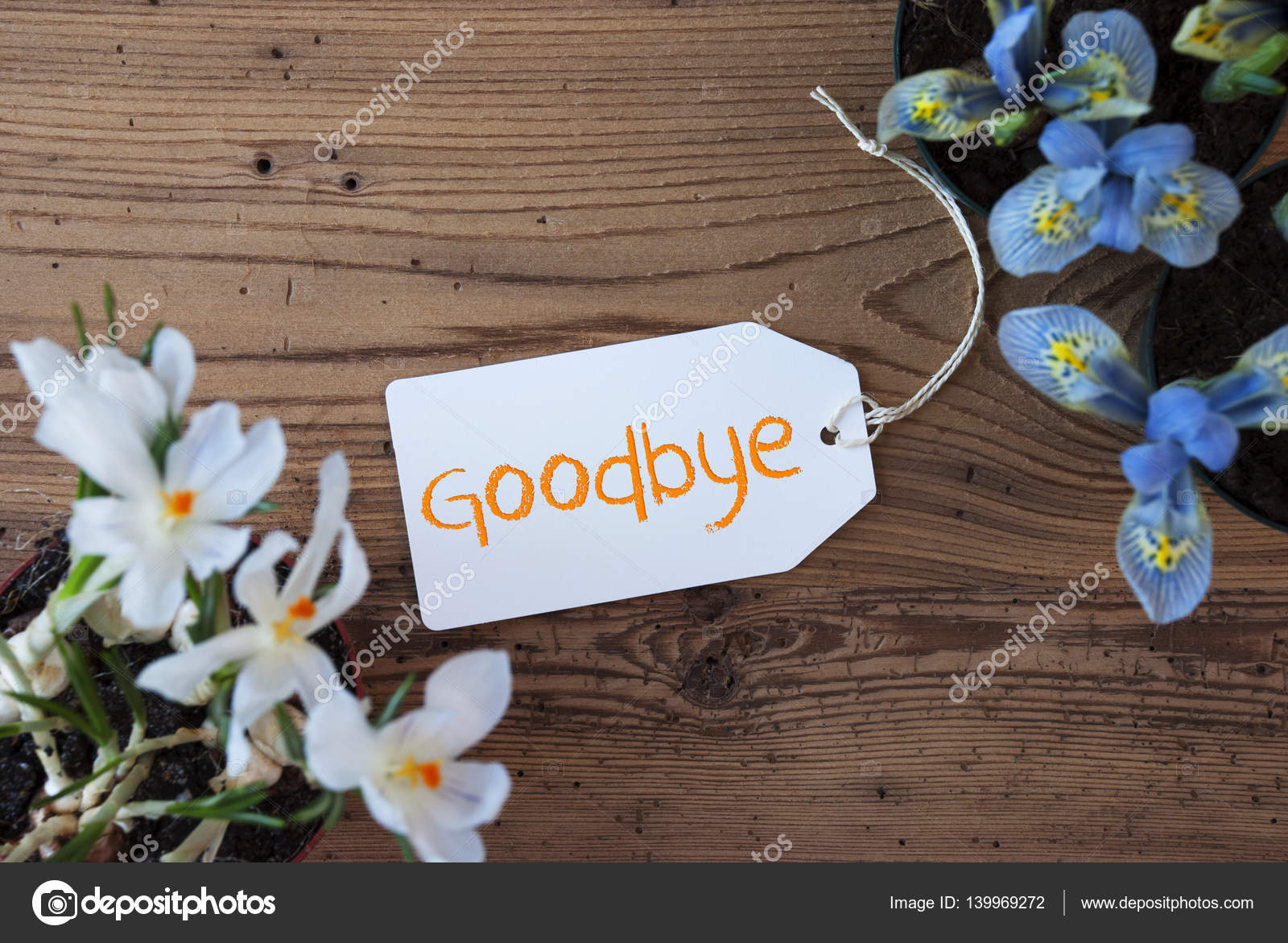 Flowers, Label, Text Goodbye Stock Photo by ©Nelosa 139969272