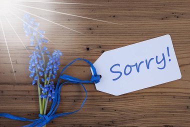 Mavi güneşli Srping üzüm sümbül, etiket, üzgünüm