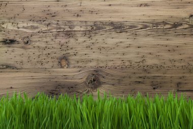 Yaşlı ahşap arka plan, ciğeri, kopya alanı