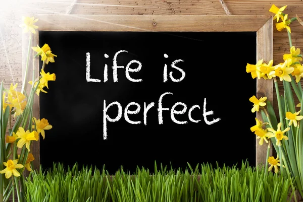 Sunny Spring Narcissus, Chalkboard, Text Life Is Perfect — Stock Photo, Image