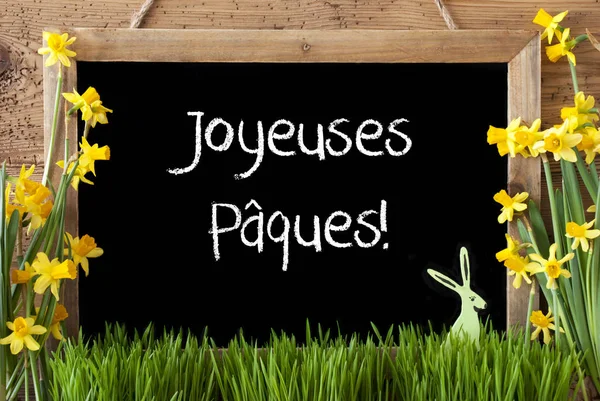 Narcissus, Bunny, Joyeuses Paques Means Happy Easter — Stockfoto