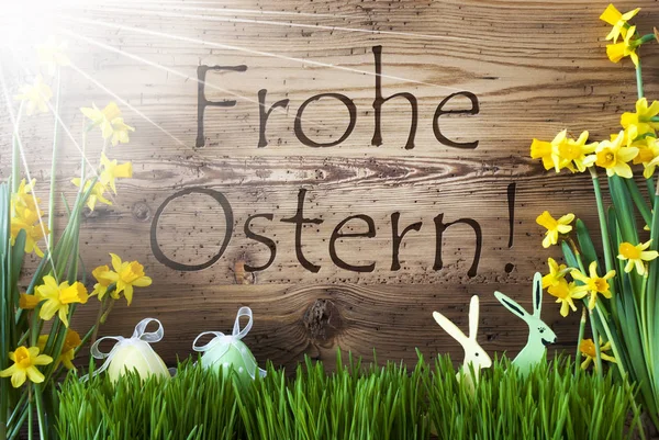 Zonnige ei en Bunny, Gras, Frohe Ostern betekent vrolijk Pasen — Stockfoto