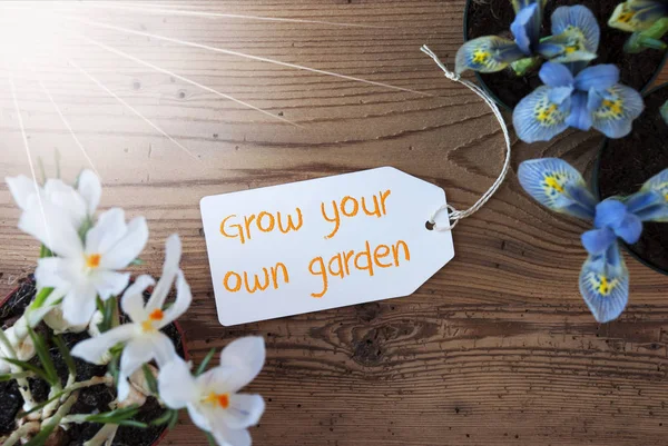 Sluneční květiny, popisek, textové pěstovat své vlastní zahradě — Stock fotografie