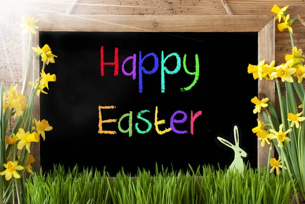 Sonniger Narziss, Hase, bunter Text frohe Ostern — Stockfoto