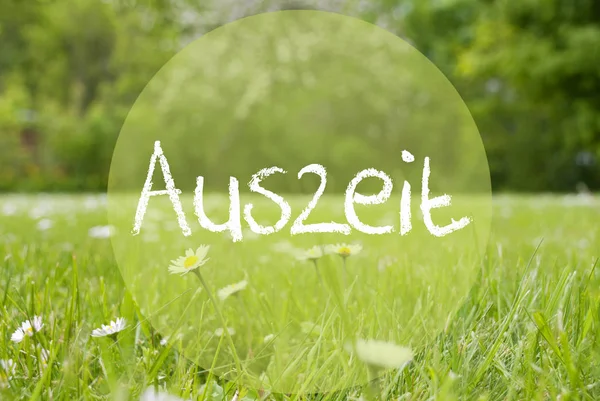 가동 중지 시간을 의미 하는 그 라 풀밭, 데이지 꽃, Auszeit — 스톡 사진