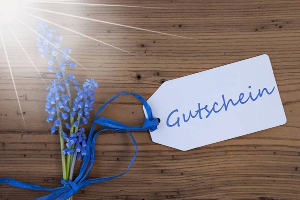 Sunny Srping Grape Hyacinth, Label, Gutschein Means Voucher — Stock Photo, Image