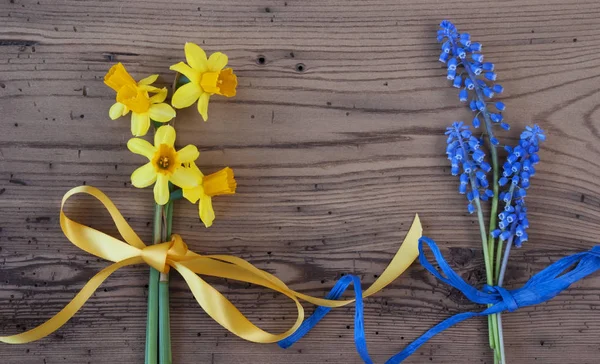 Plat leggen van geel voorjaar Nacrissus en hyacint, kopie ruimte — Stockfoto