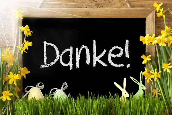 Soliga Narcissus, påskägg, Bunny, Danke medel tack — Stockfoto