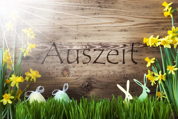 Sonnige Osterdekoration, Gras, Auszeit heißt entspannen — Stockfoto