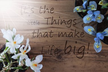 Güneşli Crocus ve sümbül, alıntı küçük şeyler büyük yapmak hayat