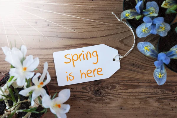 Sluneční květiny, popisek, textové jaro je tady — Stock fotografie