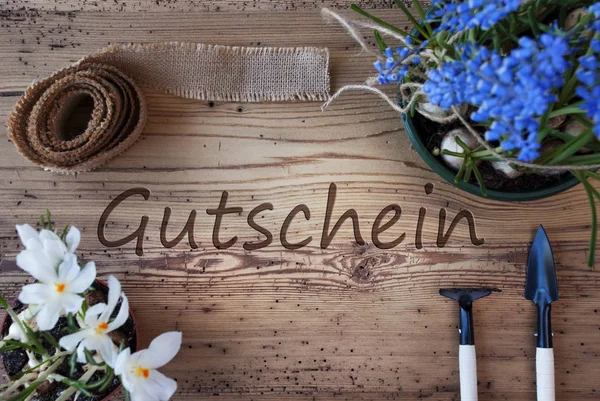 Jarní květiny, Gutschein znamená doklad — Stock fotografie