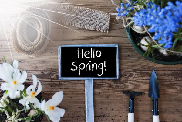 Soliga blommor, Sign, Text Hej våren — Stockfoto