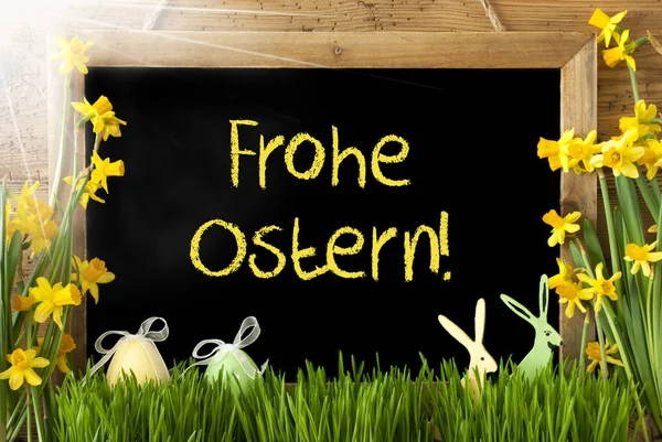 Narciso ensolarado, Ovos, Coelho, Frohe Ostern significa feliz Páscoa — Fotografia de Stock