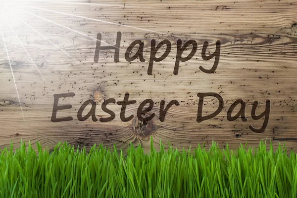 Soliga trä bakgrund, Gras, Text Glad påsk Day — Stockfoto
