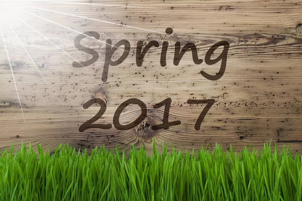 Sunny Wooden Background, Gras, Text Spring 2017 — Stock Photo, Image